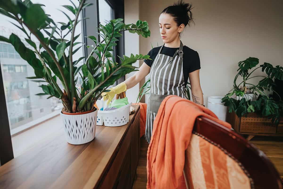 Maintain Healthy Plants to Avoid Replacing Them