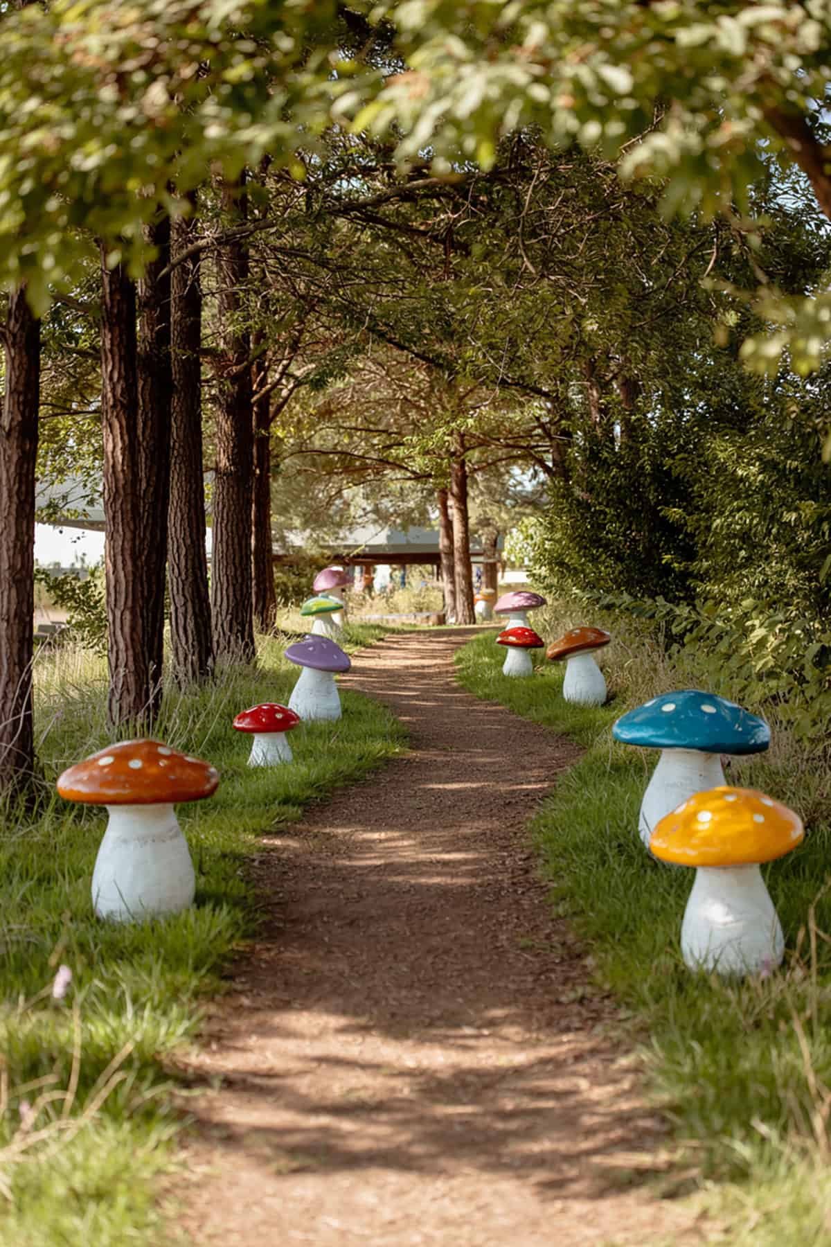 Mushroom Lined Pathway