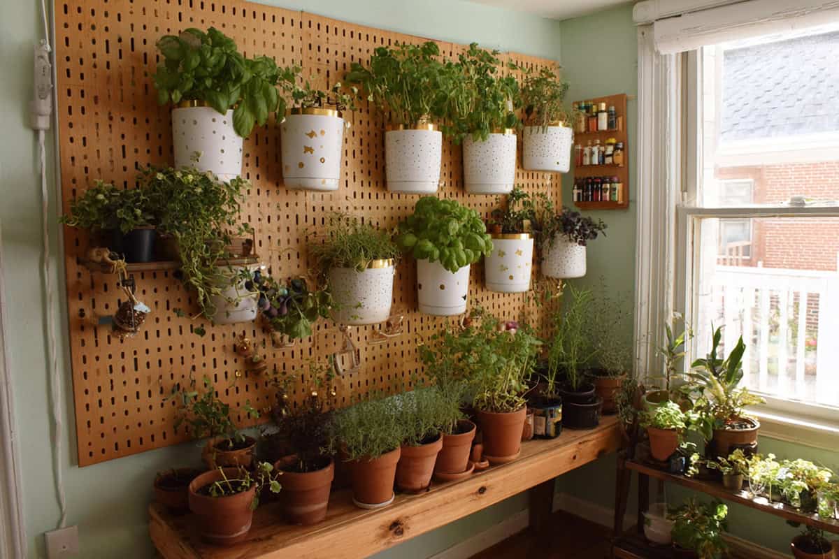 Pegboard Wall Herb Display With Hanging Planters