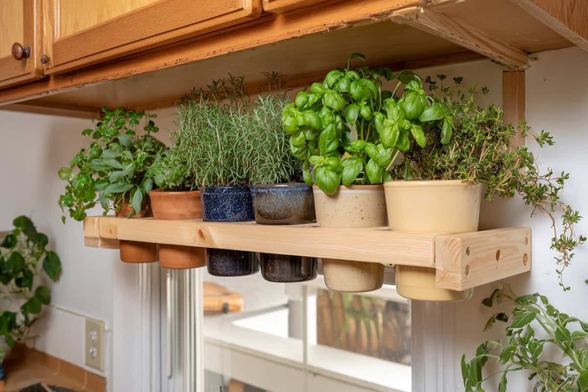 Under Cabinet Mounted Planter Rail With Hanging Herbs