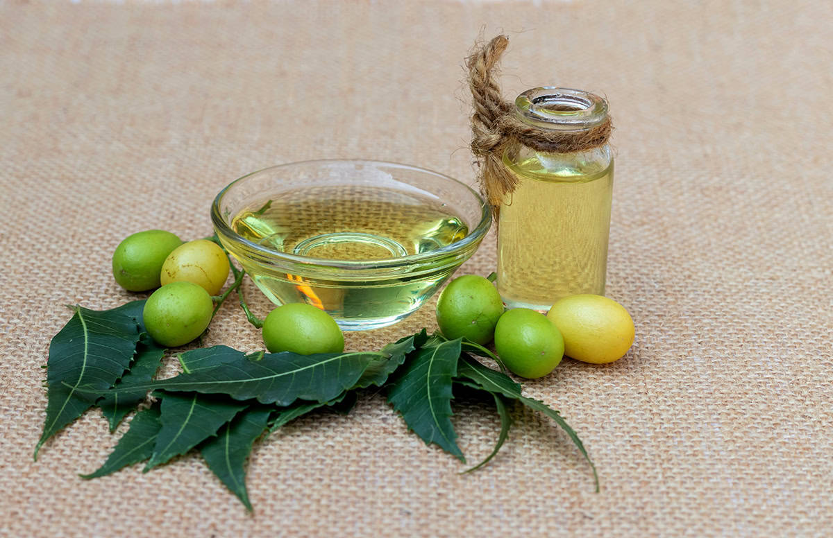 Use Neem Oil or Horticultural Oil