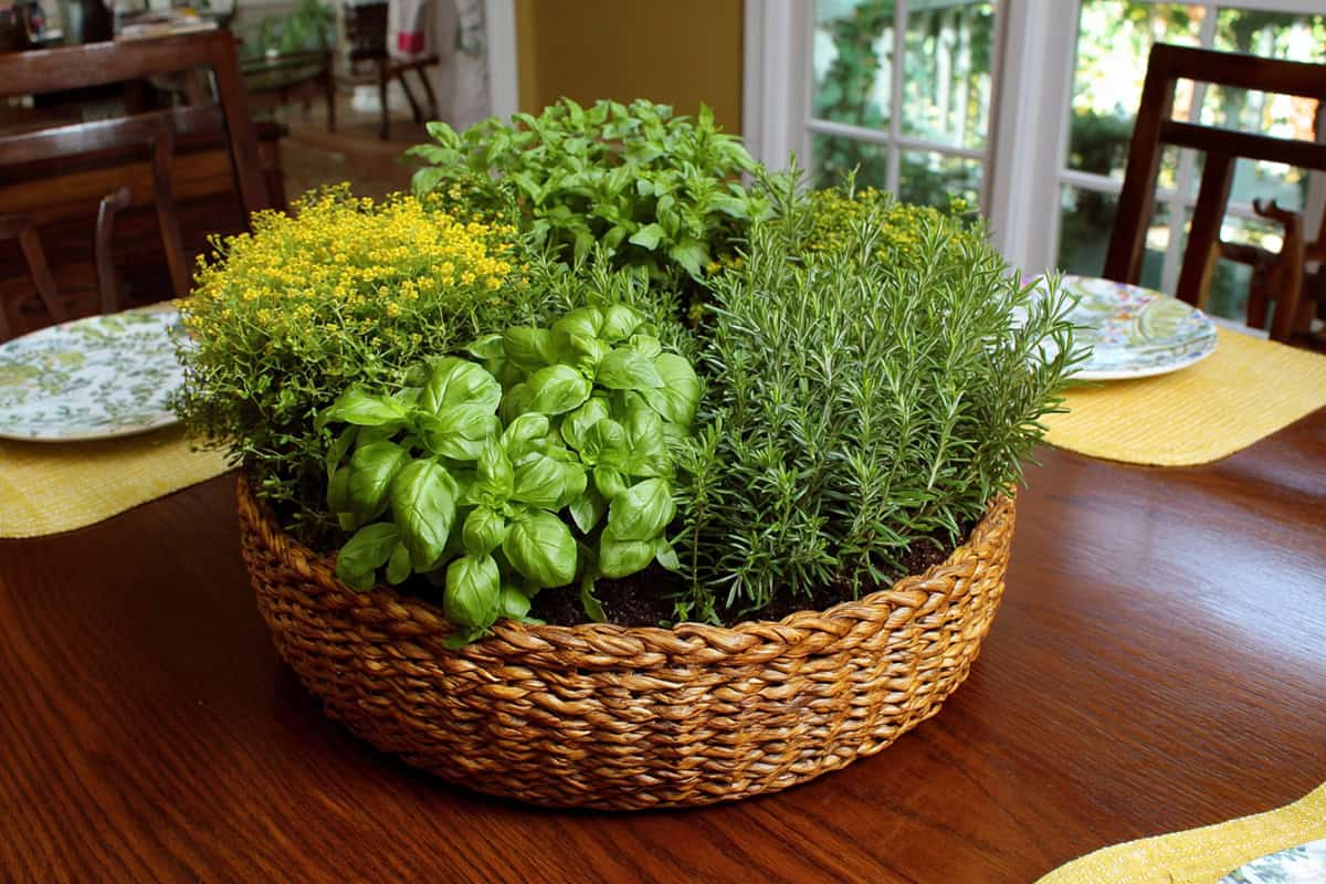 Woven Basket Herb Garden on a Dining Table