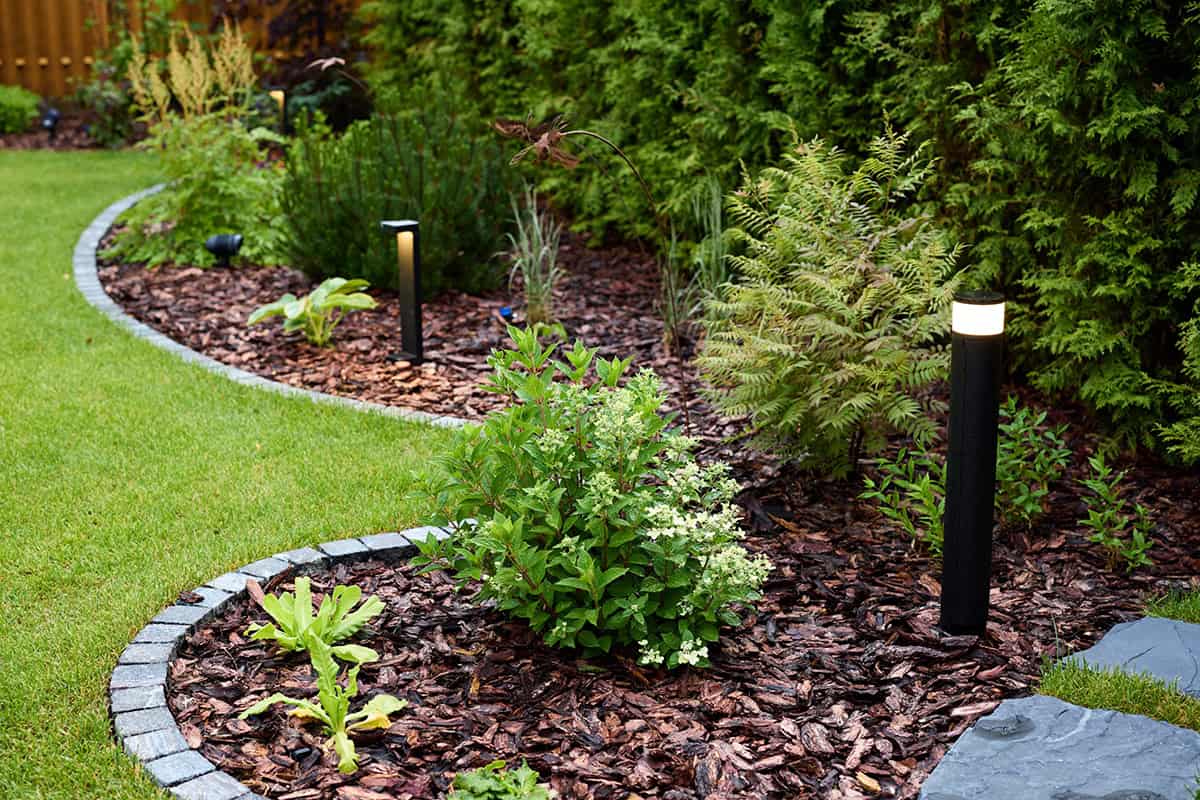Landscaping fixes