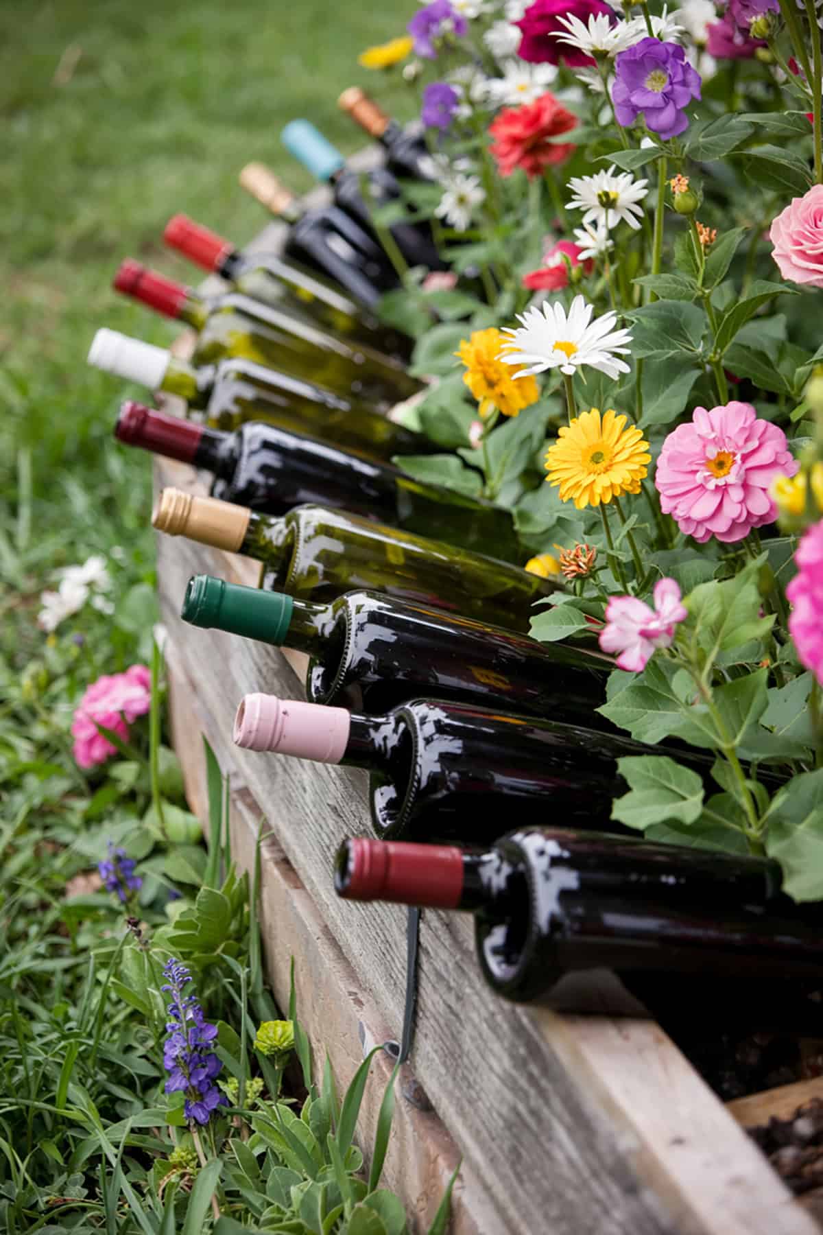 Reused Wine Bottles as Edging
