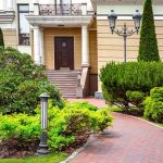 28 Dwarf Evergreen Shrubs for Your Front of House