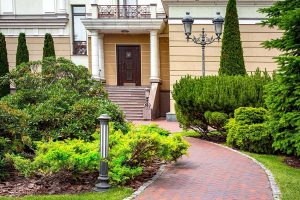 28 Dwarf Evergreen Shrubs for Your Front of House