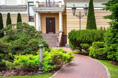 28 Dwarf Evergreen Shrubs for Your Front of House