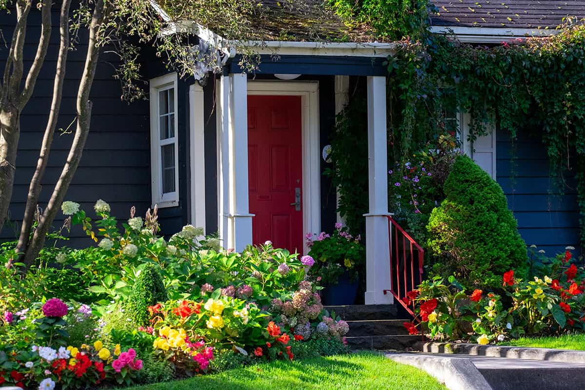28 Low Maintenance Shrubs for Your Front Yard