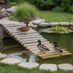 Backyard Duck Pond Ideas