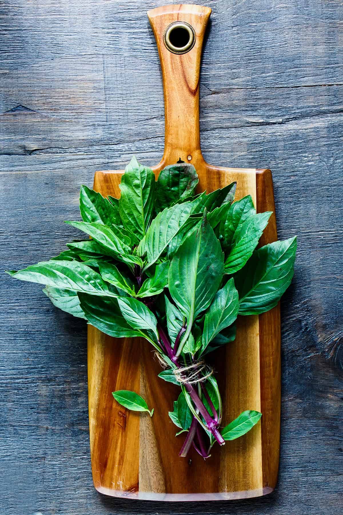 Benefits Of Growing Thai Basil