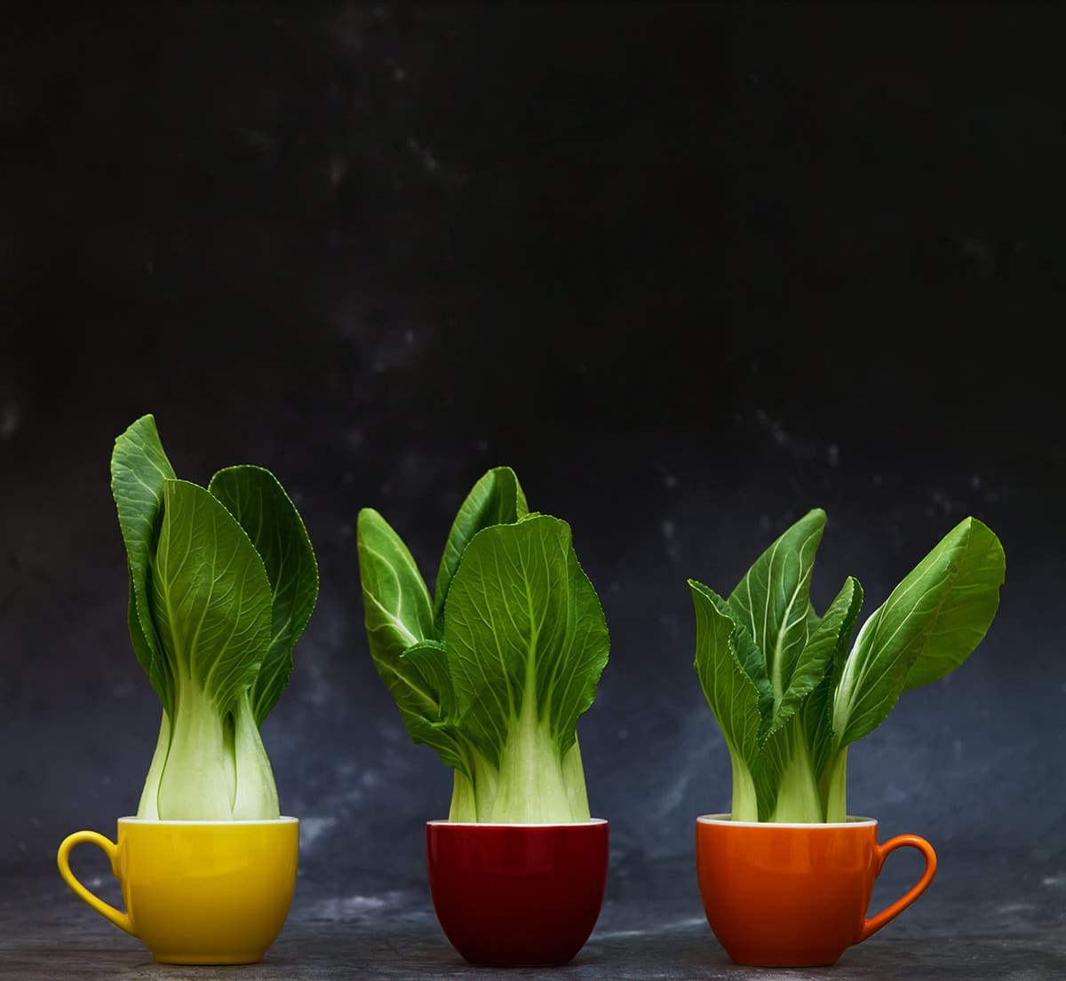 Bok Choy