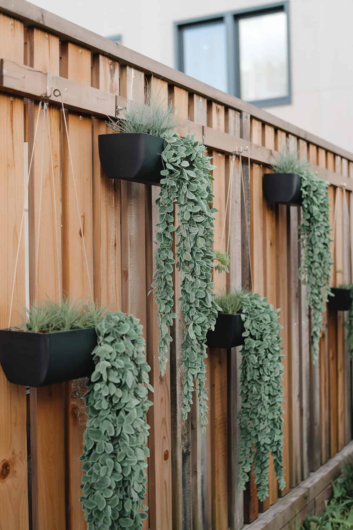 Hanging Garden Planters Along a Fence