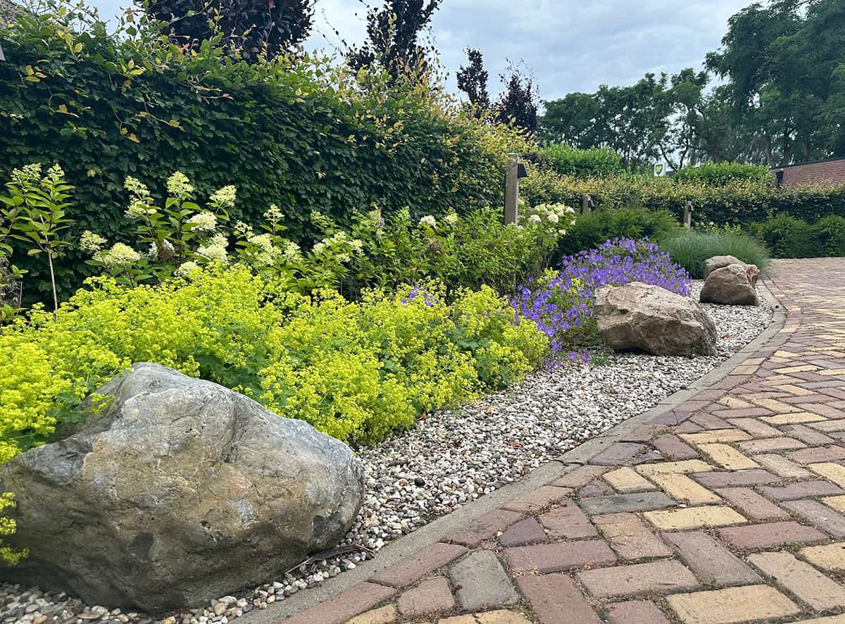 How to Permanently Kill Weeds and Grass in Rock Beds