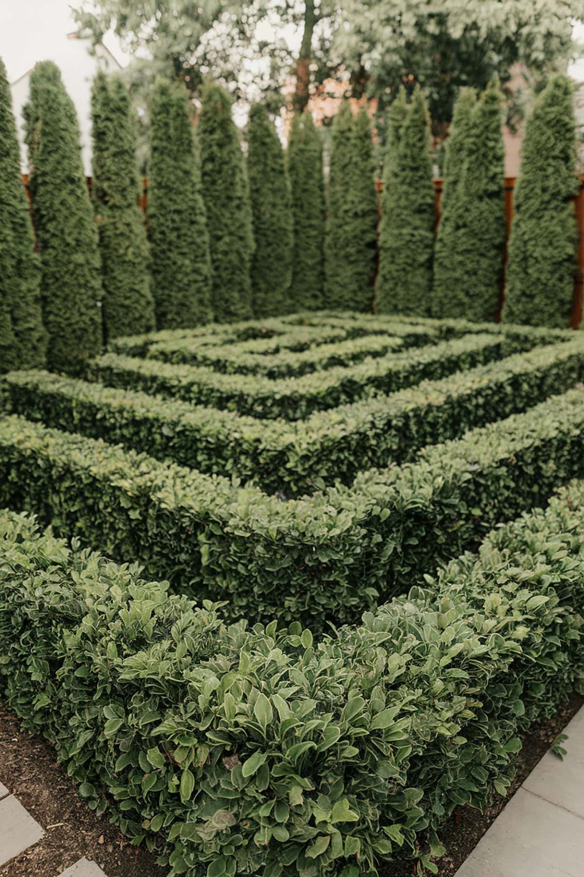 Privacy Hedge Maze