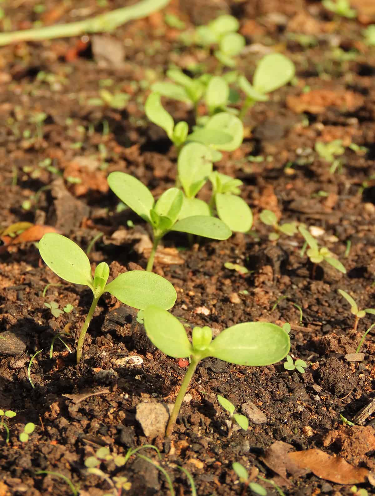 Propagation_1