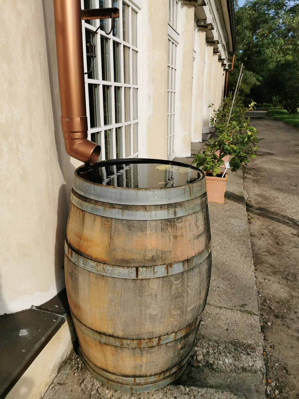 Use Distilled Or Rainwater For Best Results