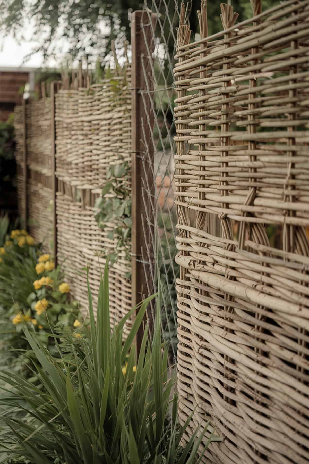 Willow Fencing Rolls