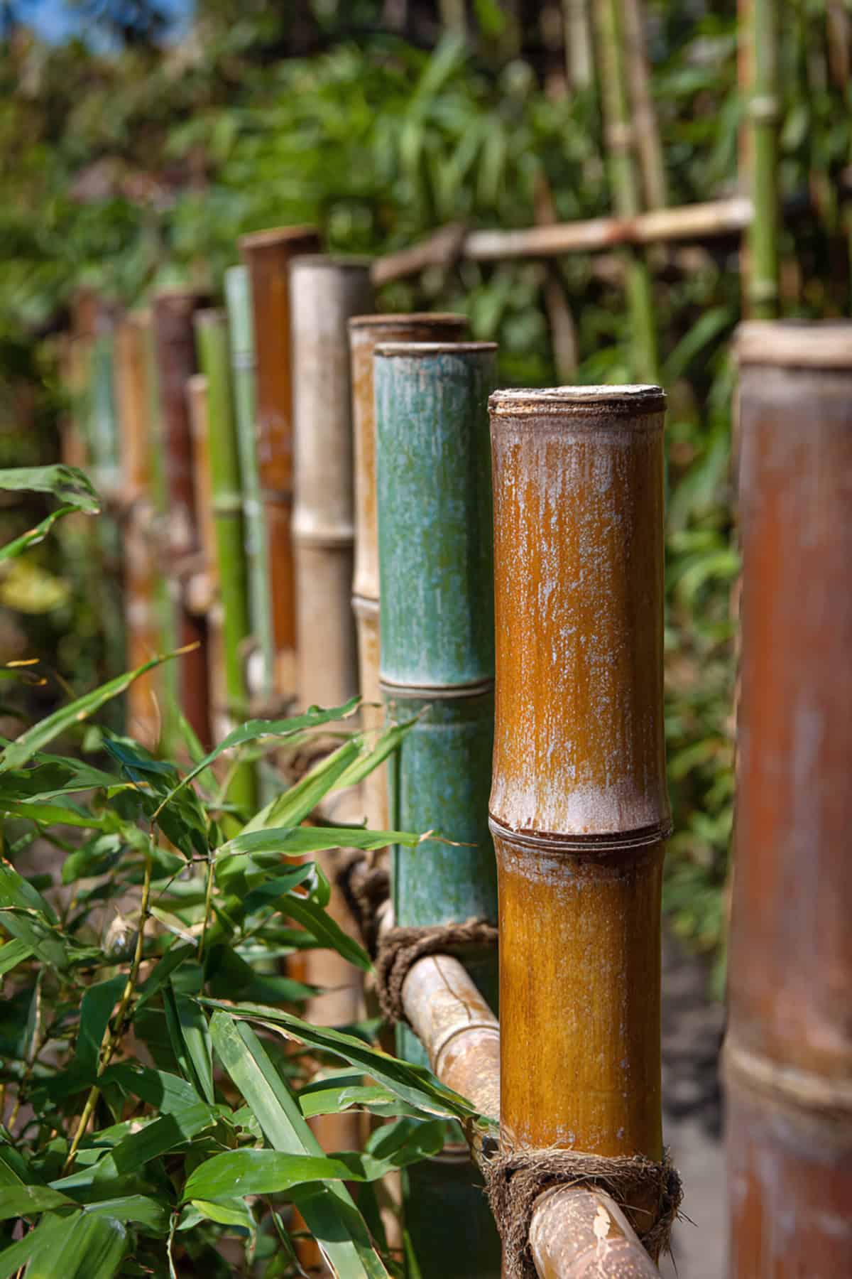Color Washed Bamboo Fence