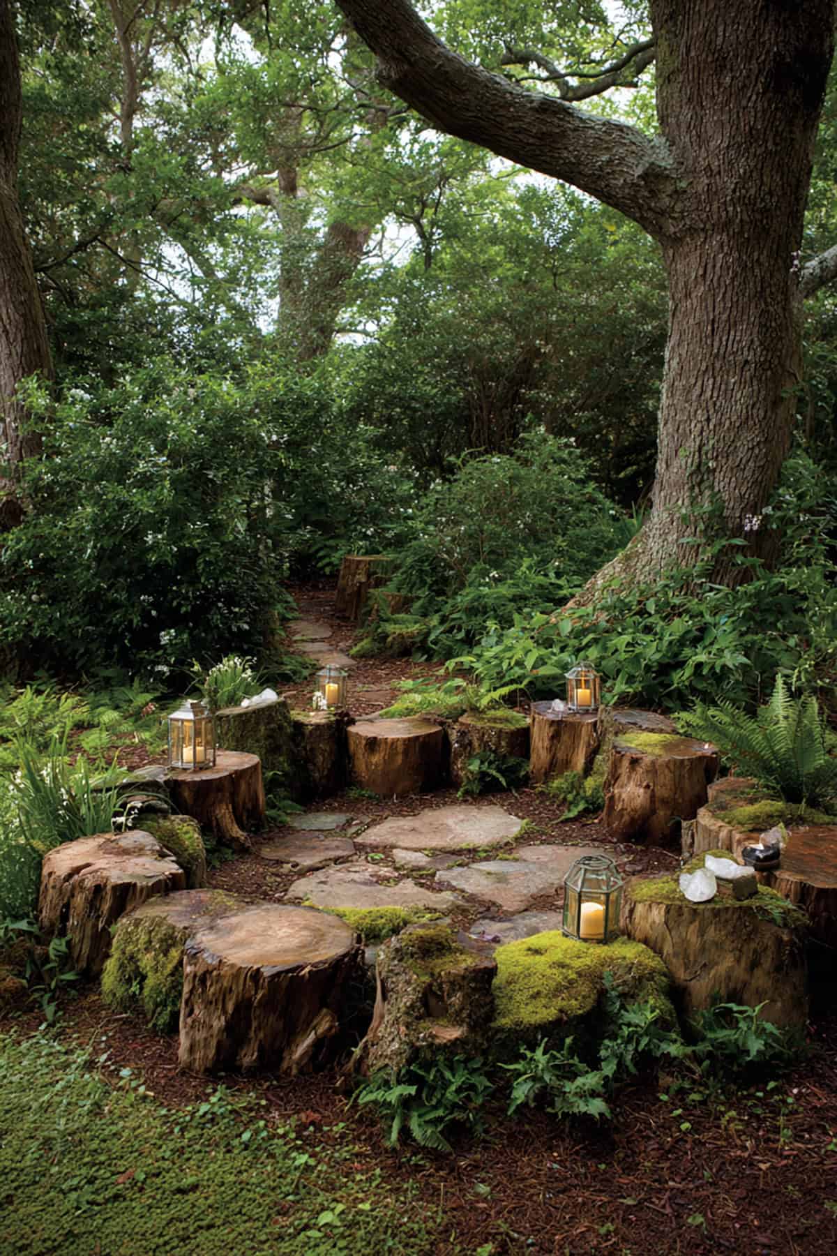 Hidden Tree Stump Circle