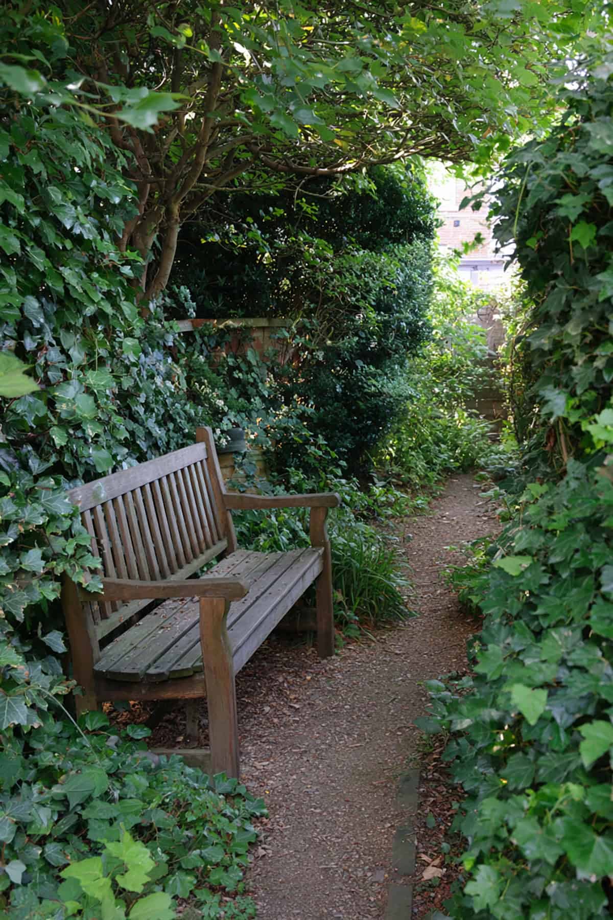 Secret Birdwatching Bench
