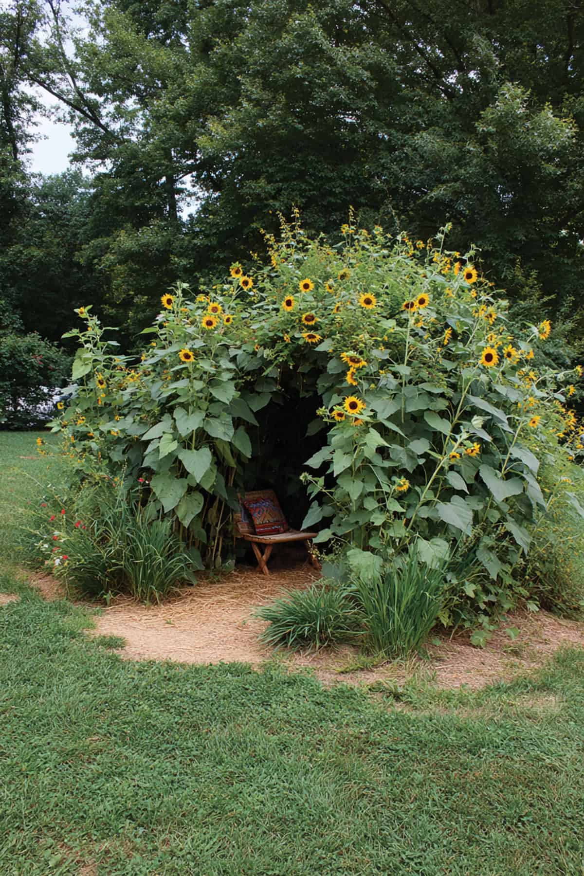 Sunflower Fort