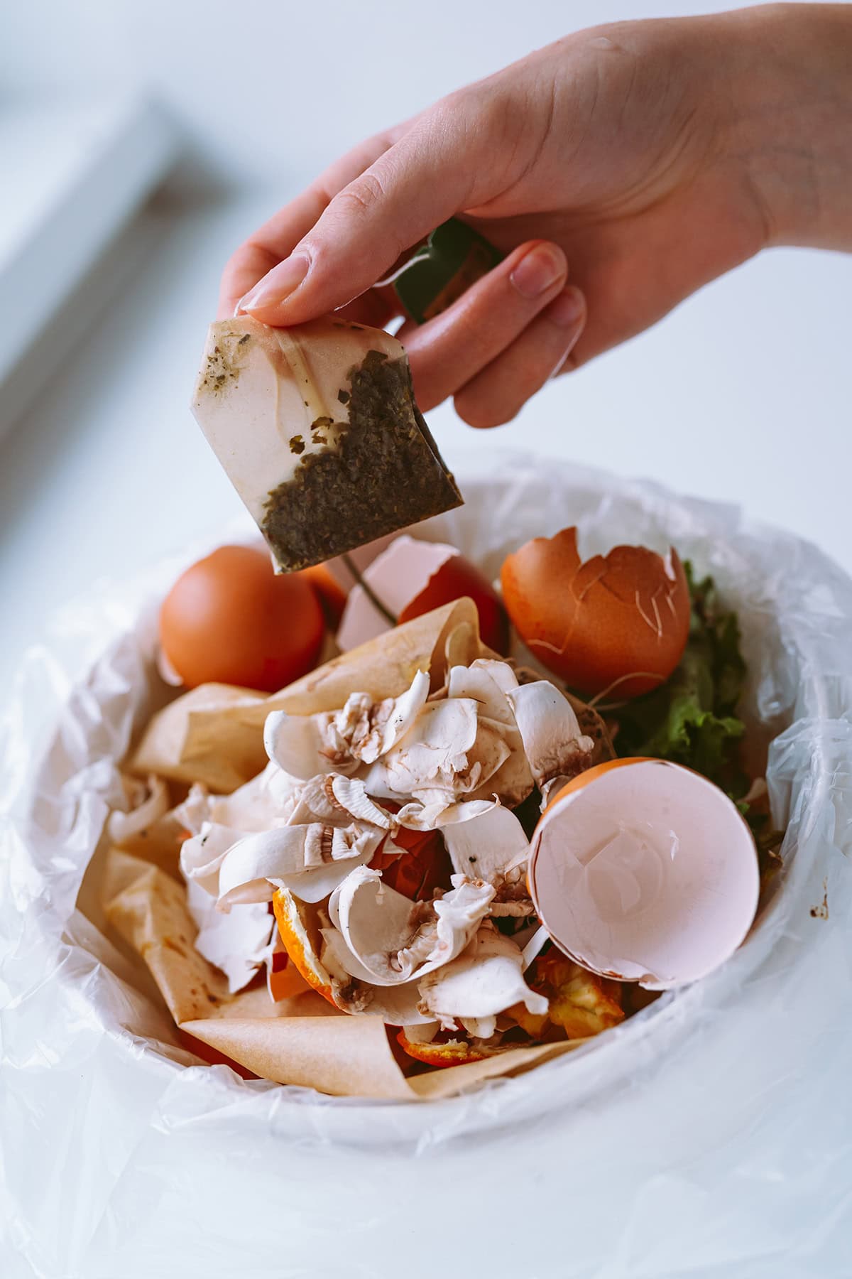 Add Used Tea Bags To Compost