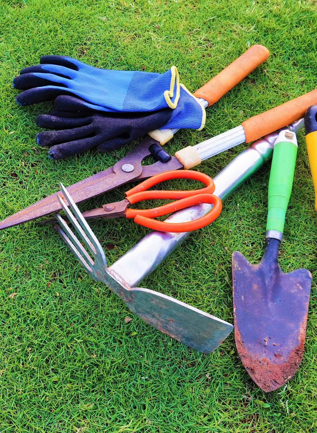 Clean Garden Tools