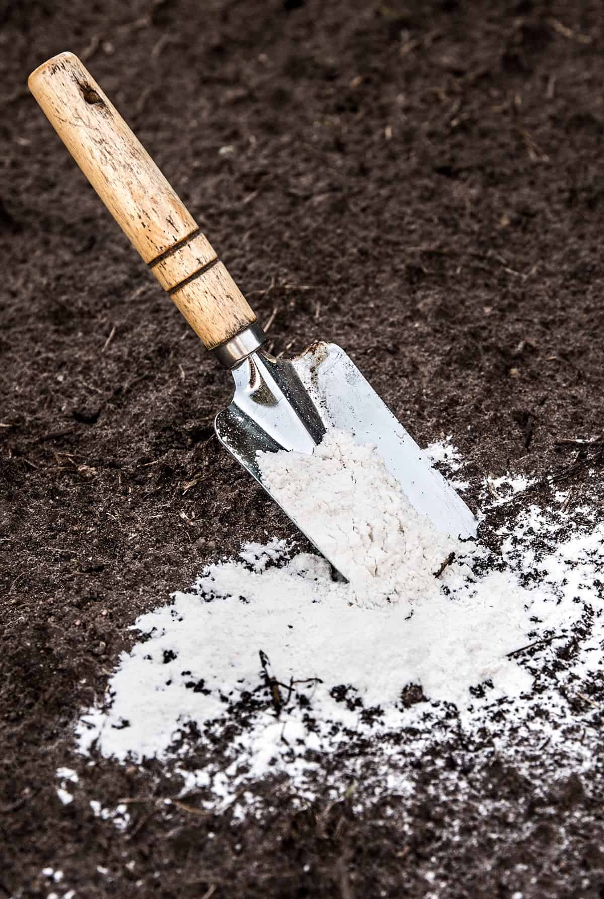 How To Raise Soil PH