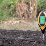 How to Adjust Garden Soil Acidity