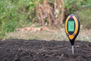 How to Adjust Garden Soil Acidity