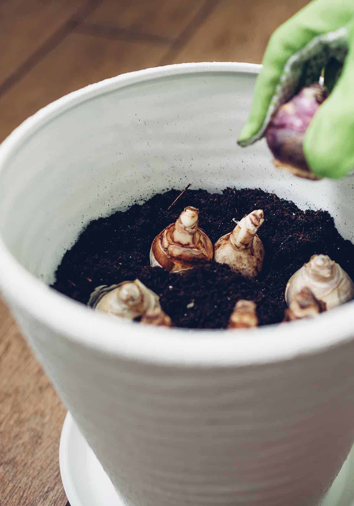 How to Choose the Right Container
