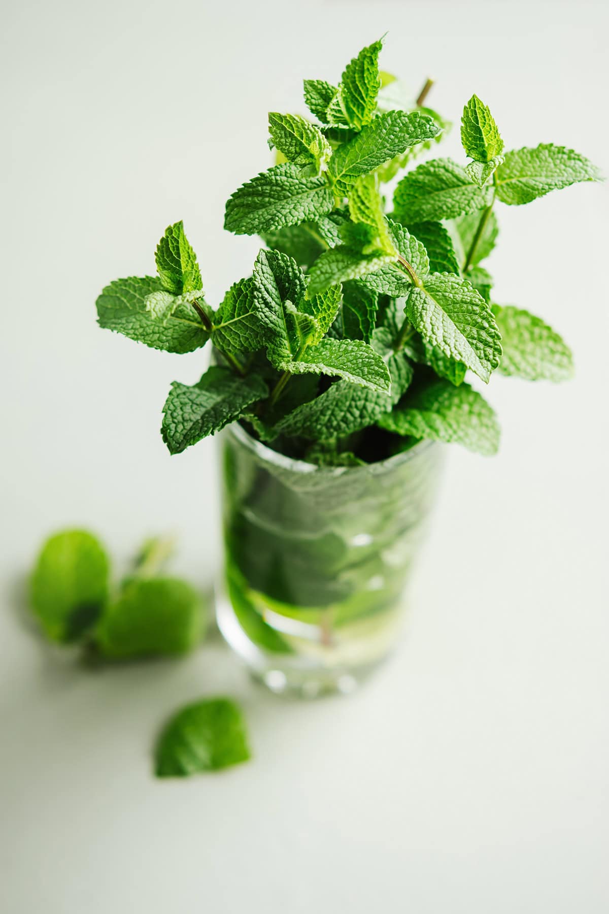 Mint