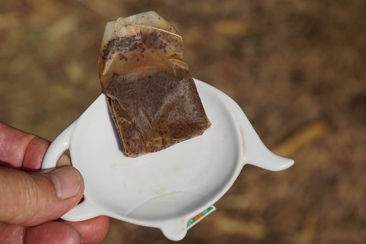 Ways to Use Used Tea Bags In the Garden