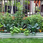 What’s not Plant Together