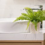 How Not to Kill Your Indoor Ferns