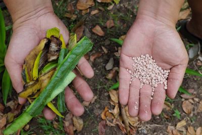 Organic vs Chemical Fertilizers