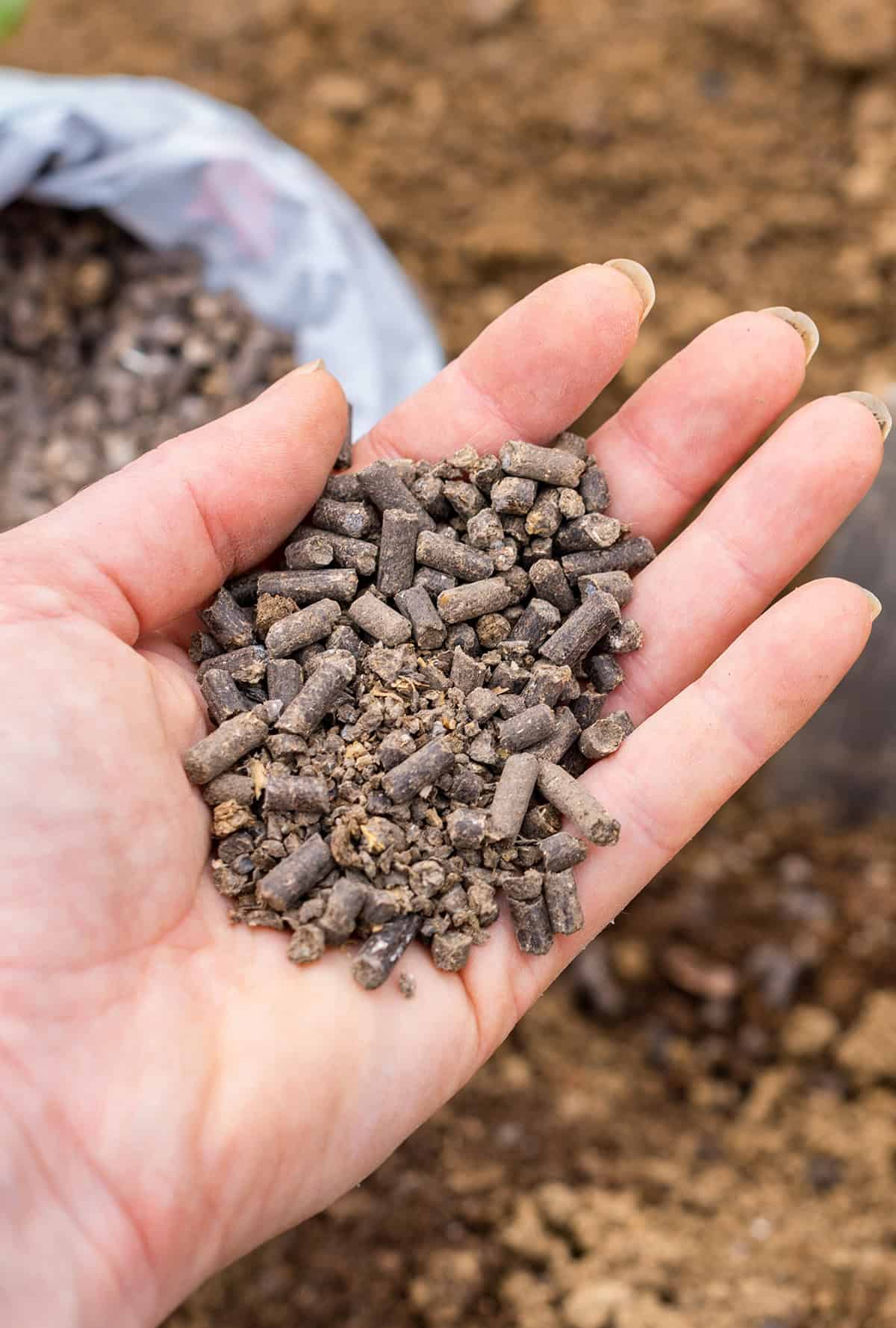 What Are Organic Fertilizers