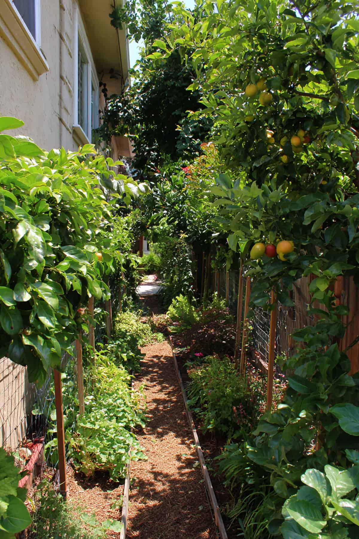 Edge Guild Fruit Fence Strip