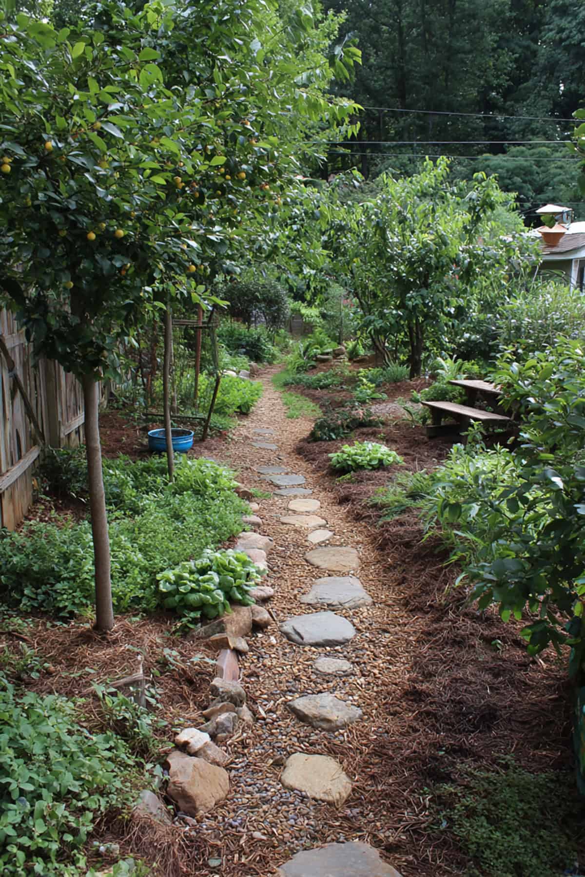Kids Pick Path Low Harvest Lane