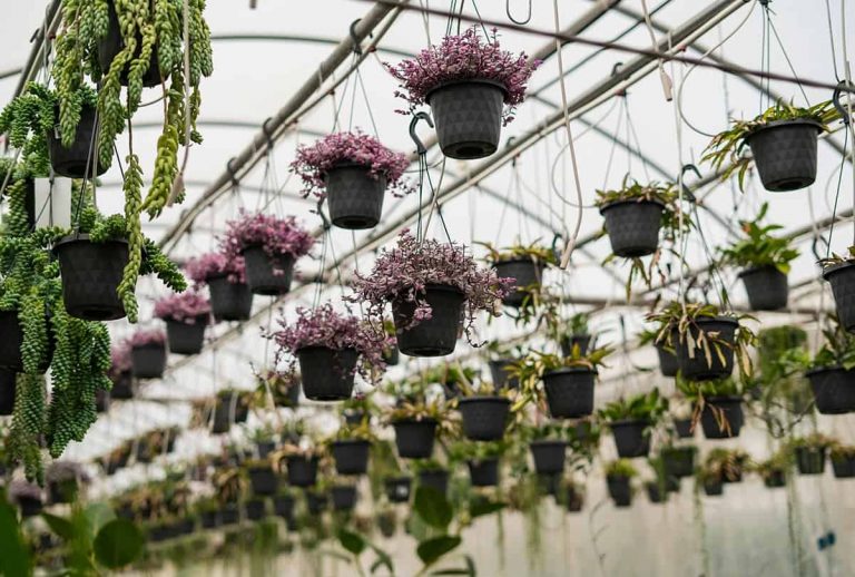 28 Greenhouse Interior Design Ideas That Are Simply Gorgeous ...