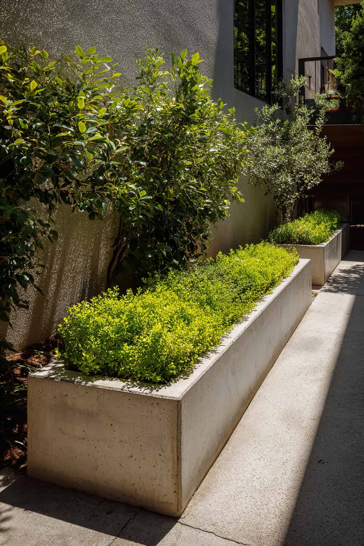 Continuous Wall Planter Row in Tight Yard
