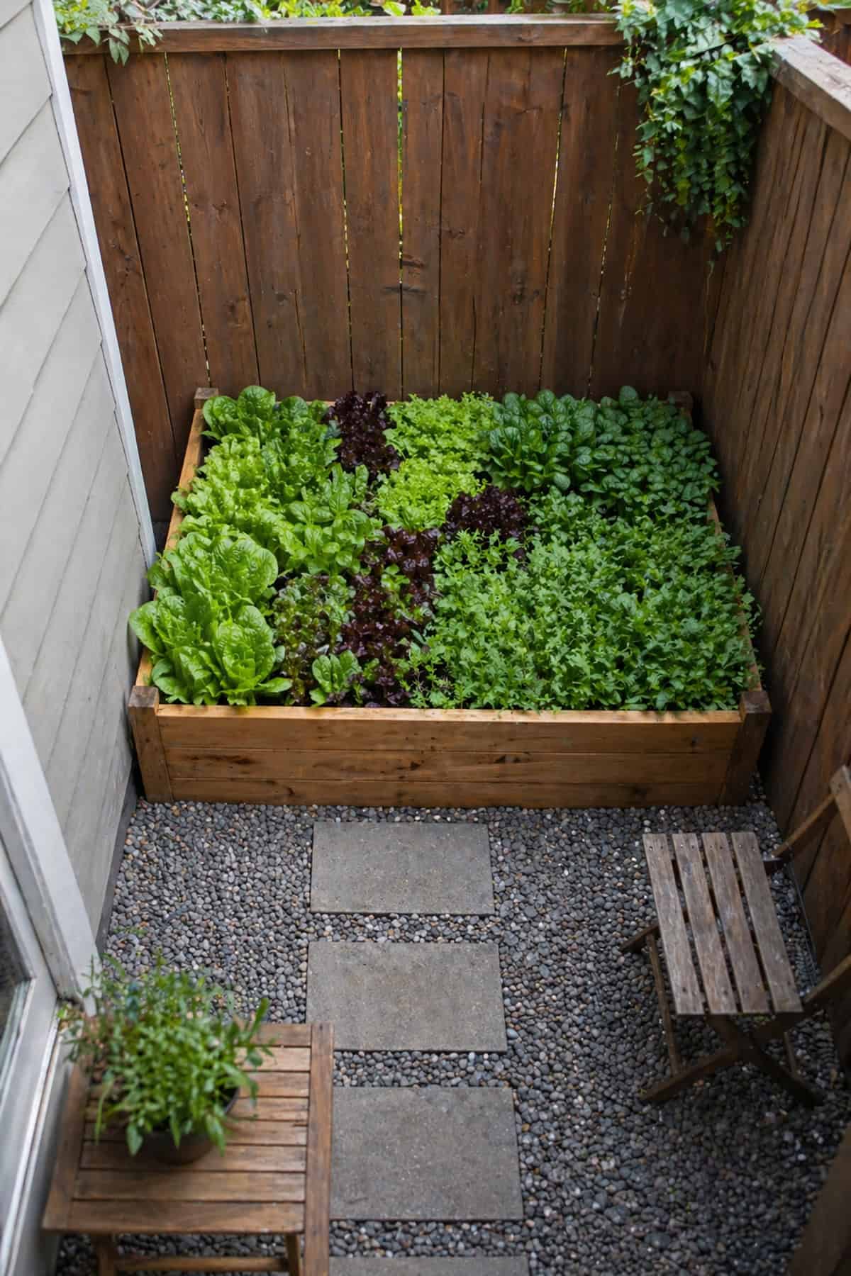 Dense Salad Bed in a Single Compact Box