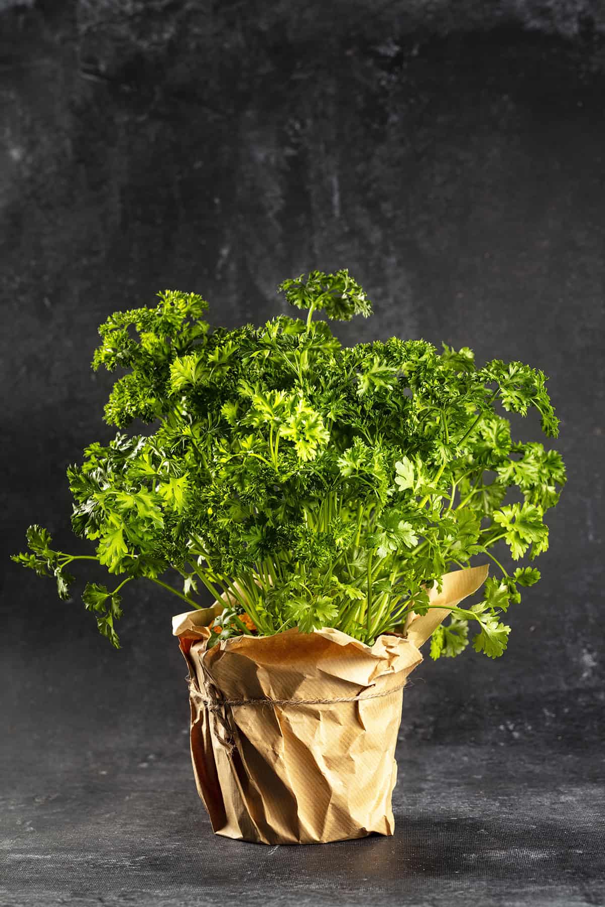 Parsley