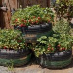 Strawberry Planter Ideas