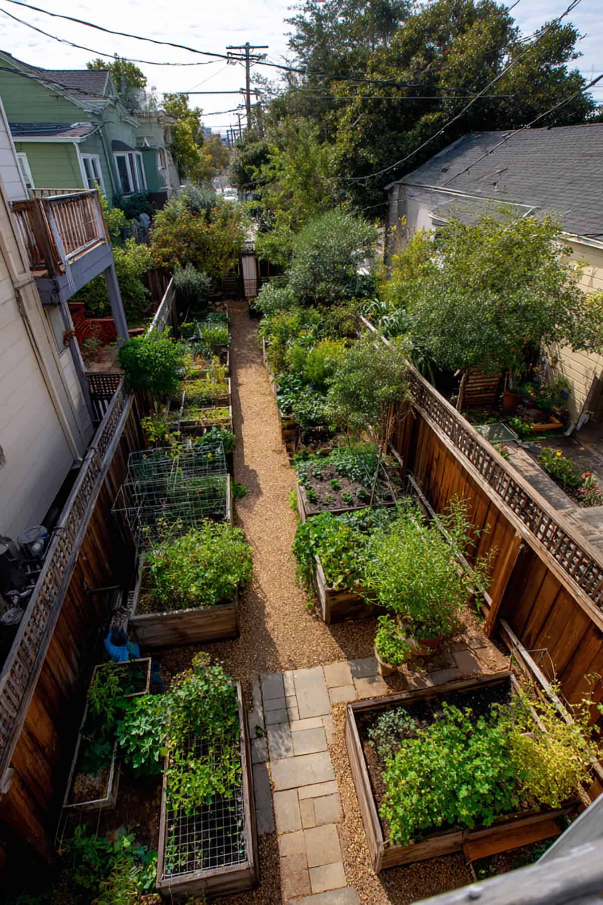 Symmetrical Grid Garden in Small Backyard