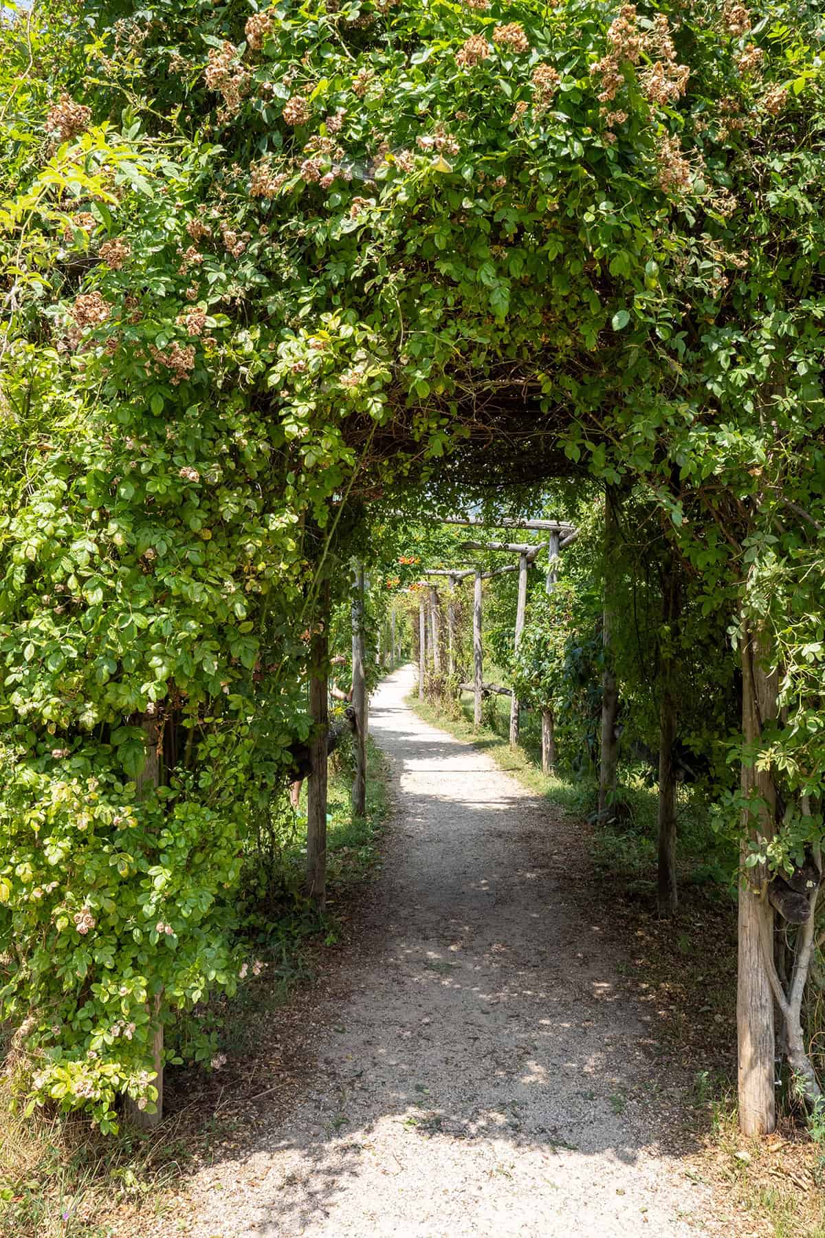 A Gravel Walkway