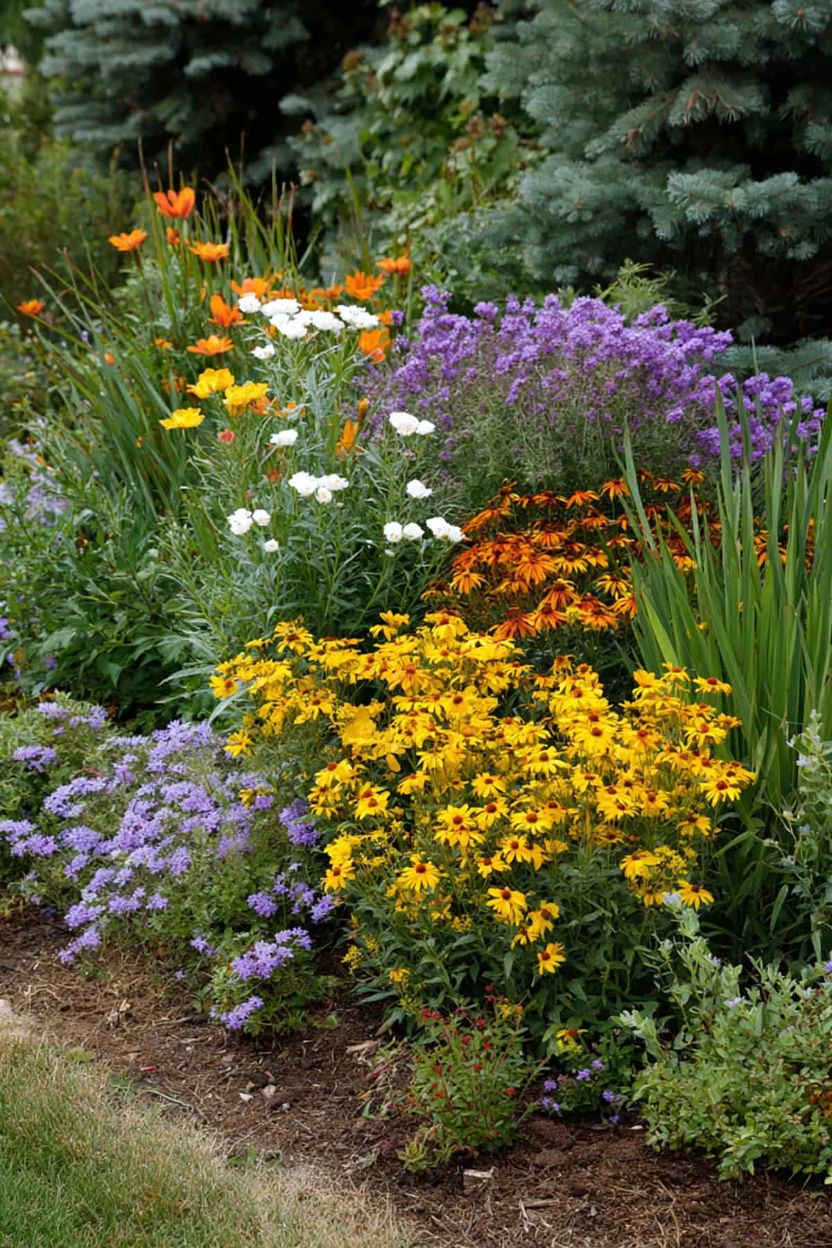 Add Perennials To Empty Spaces