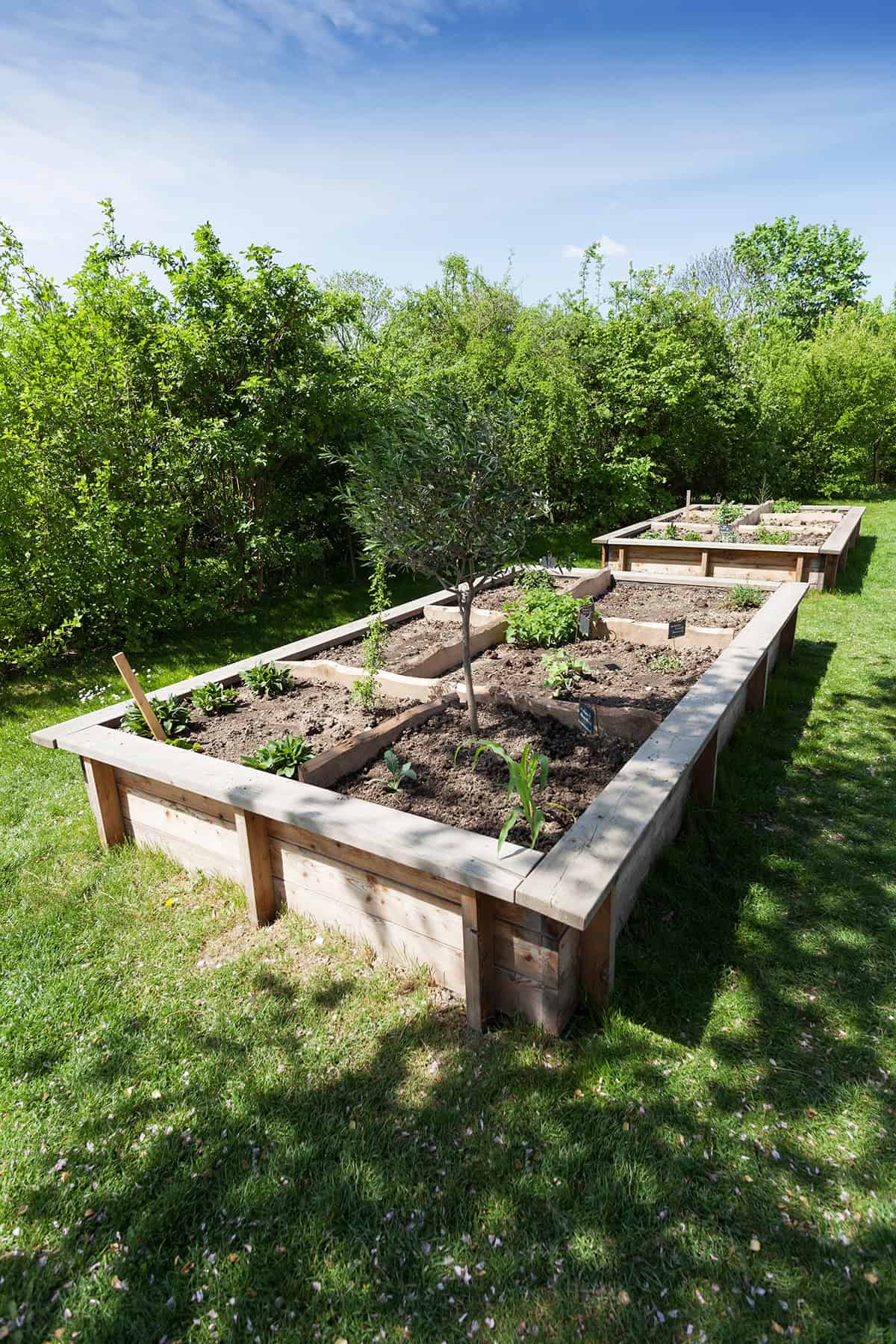 Build A Simple Raised Bed
