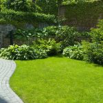 Clean Lawn Edges