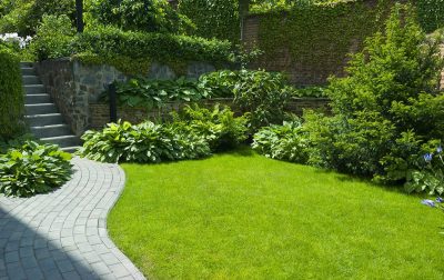 Clean Lawn Edges